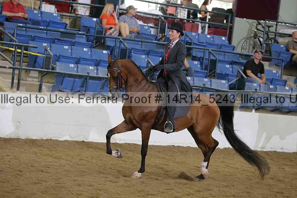 Proof 14r14_5243