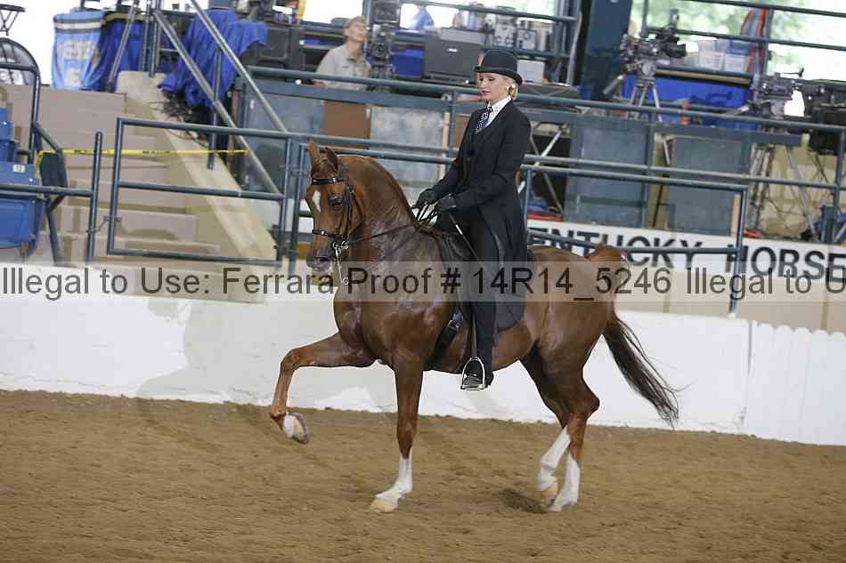 Proof 14r14_5246