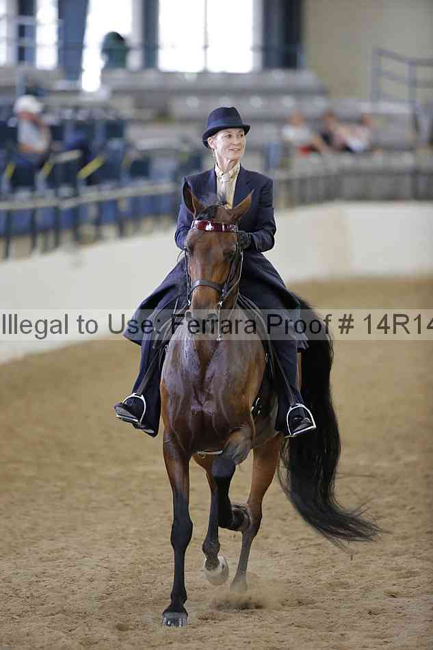 Proof 14r14_5247