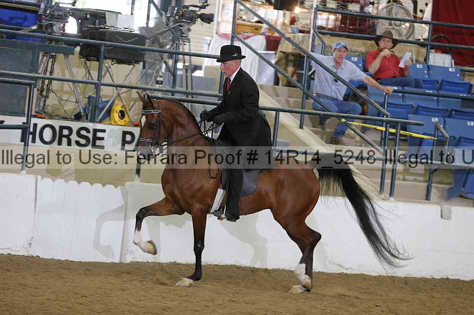 Proof 14r14_5248