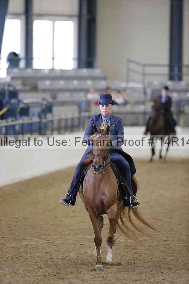 Proof 14r14_5249