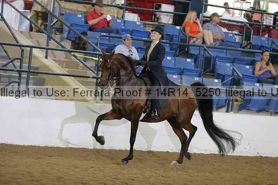 Proof 14r14_5250