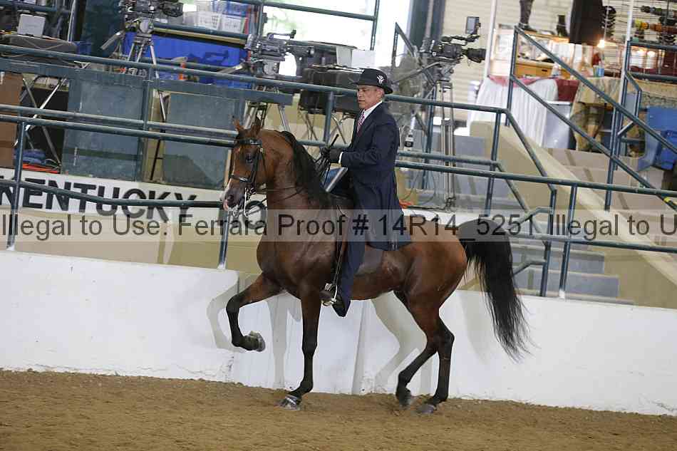 Proof 14r14_5251
