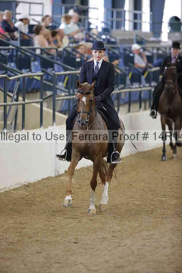 Proof 14r14_5252
