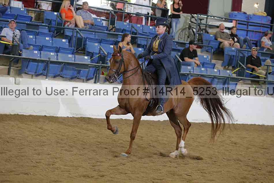 Proof 14r14_5253