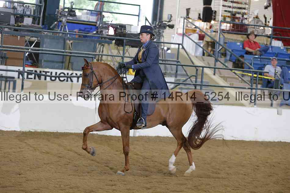 Proof 14r14_5254