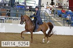 14r14_5254 proof