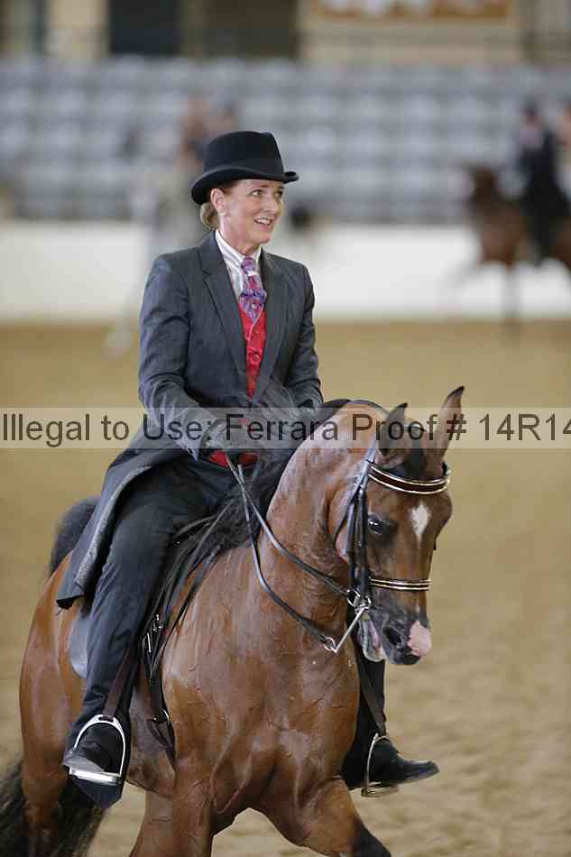 Proof 14r14_5255