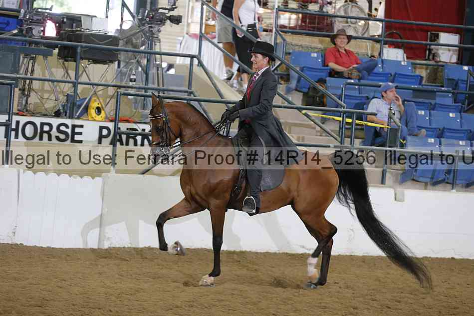 Proof 14r14_5256