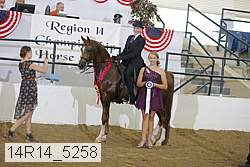 14r14_5258 proof