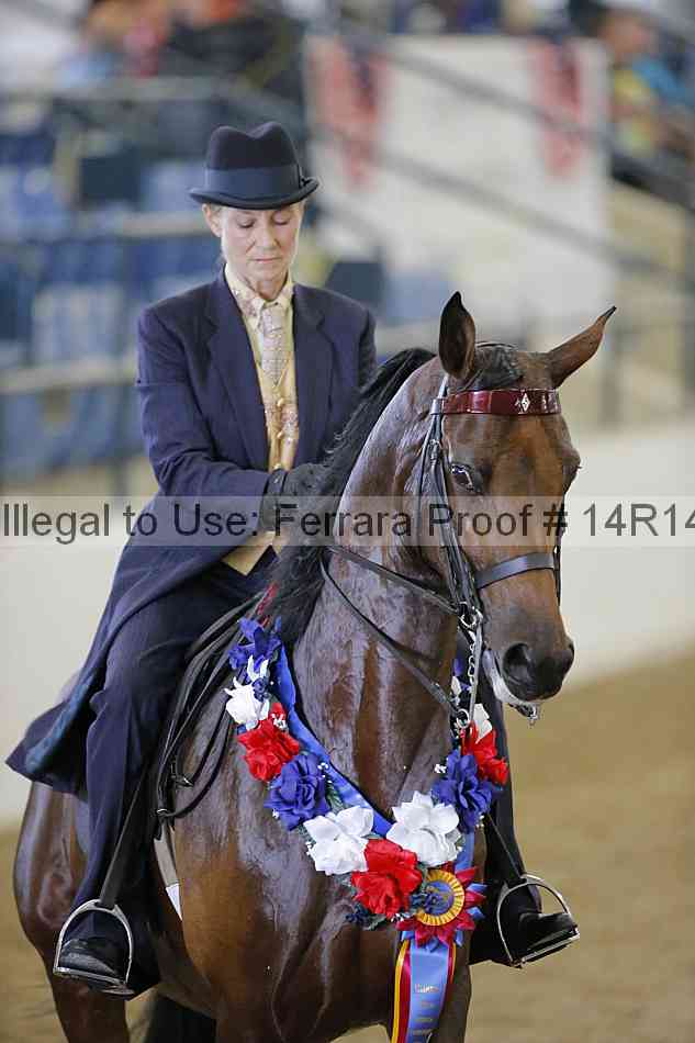 Proof 14r14_5262
