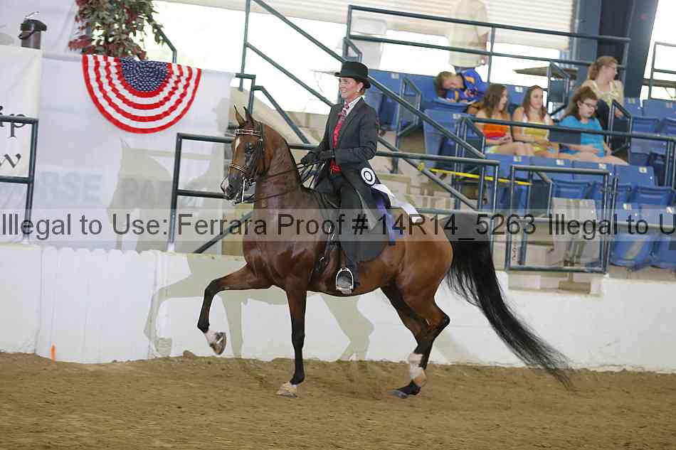 Proof 14r14_5263