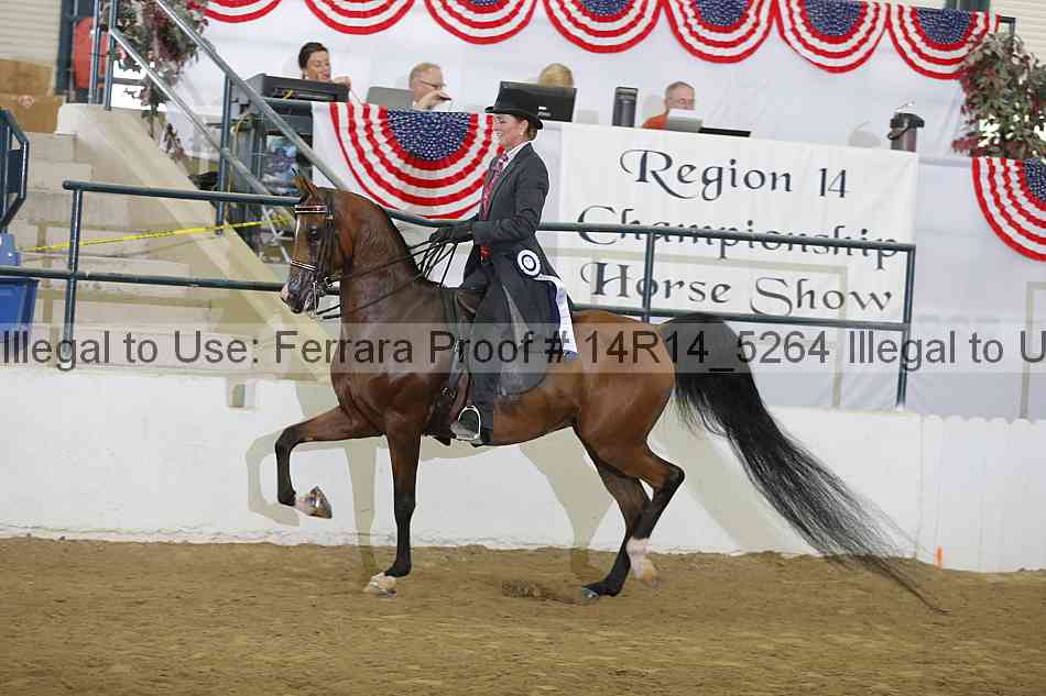 Proof 14r14_5264