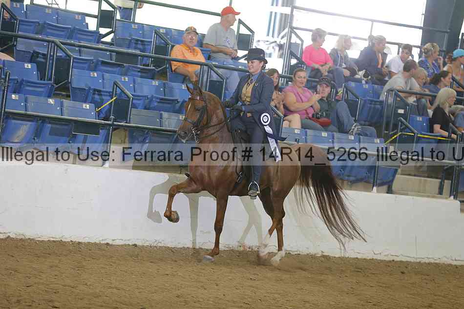 Proof 14r14_5266