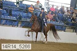 14r14_5266 proof