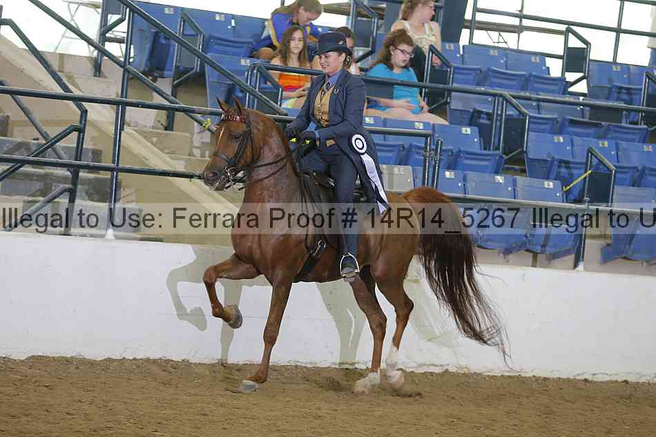 Proof 14r14_5267