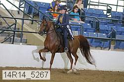 14r14_5267 proof