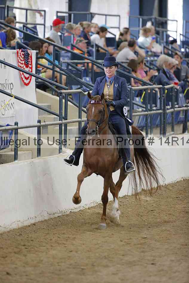 Proof 14r14_5271
