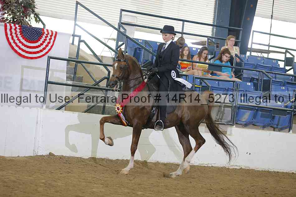 Proof 14r14_5273
