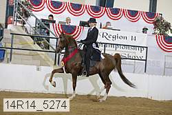 14r14_5274 proof