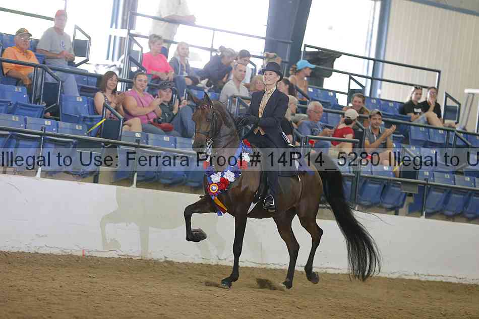 Proof 14r14_5280