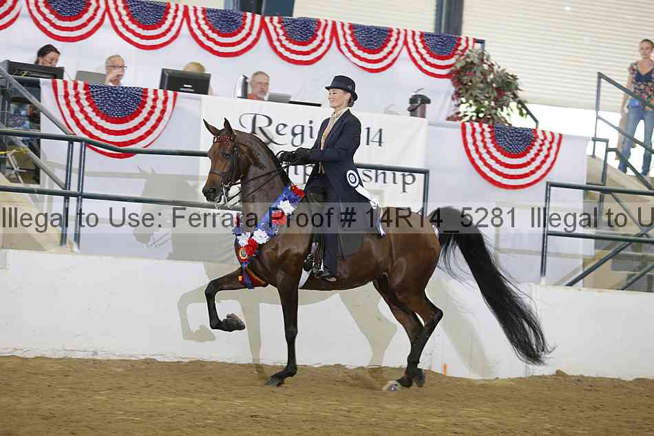 Proof 14r14_5281