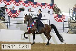 14r14_5281 proof