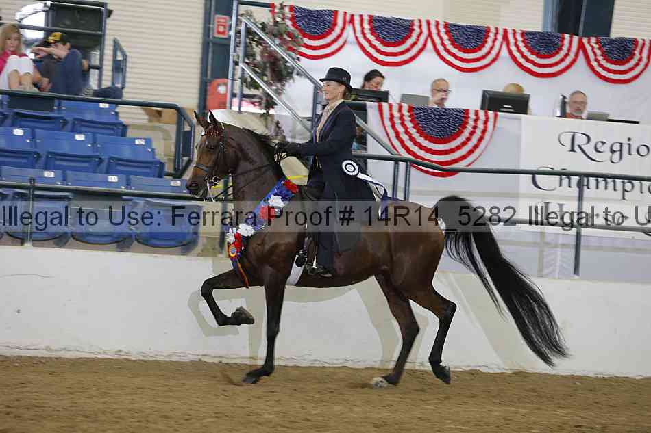 Proof 14r14_5282