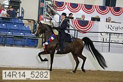 14r14_5282 proof