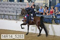14r14_5283 proof