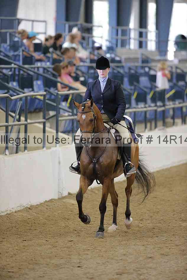 Proof 14r14_5331