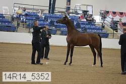 14r14_5352 proof