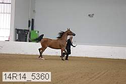 14r14_5360 proof