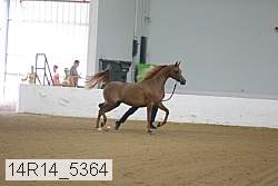 14r14_5364 proof