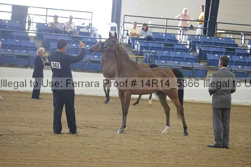 Proof 14r14_5366