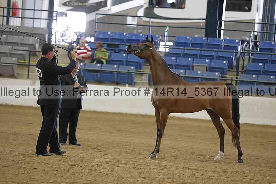 Proof 14r14_5367