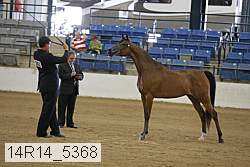 14r14_5368 proof