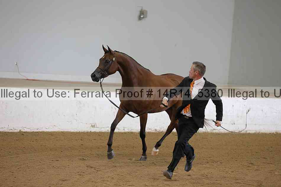 Proof 14r14_5380