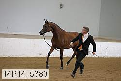 14r14_5380 proof