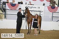 14r14_5386 proof