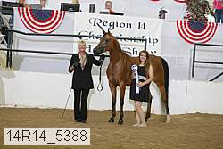 14r14_5388 proof