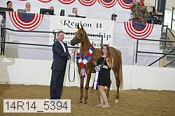 14r14_5394 proof