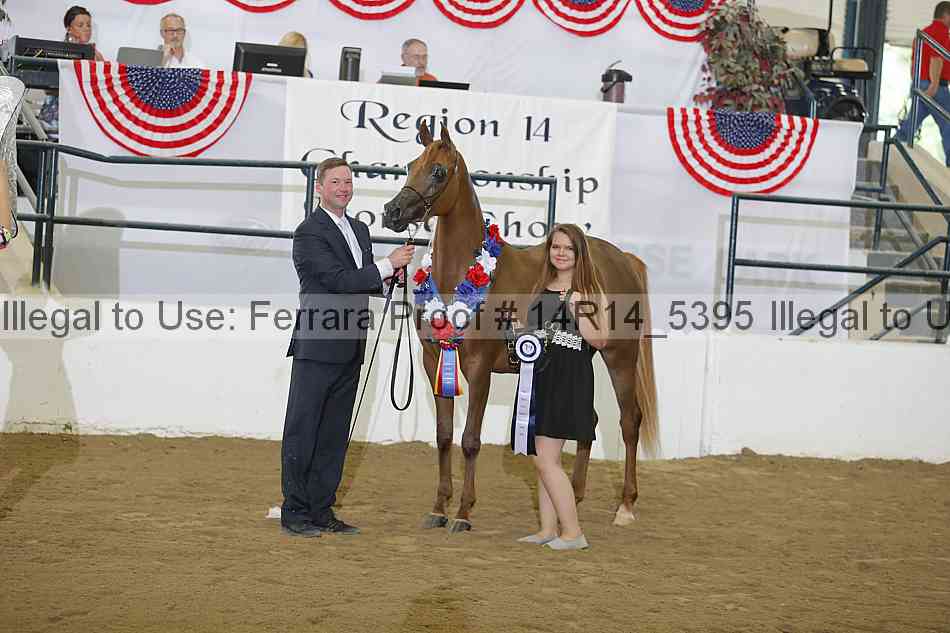 Proof 14r14_5395