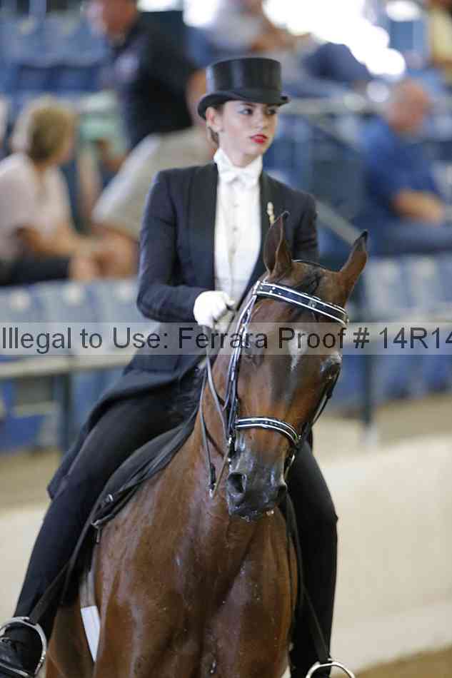 Proof 14r14_5437