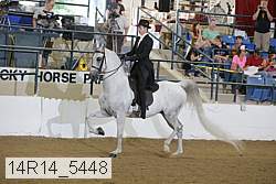 14r14_5448 proof