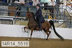 14r14_5516 proof