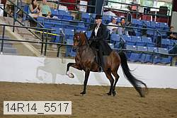 14r14_5517 proof