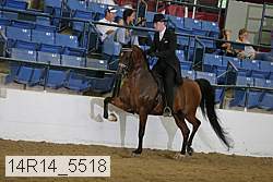 14r14_5518 proof
