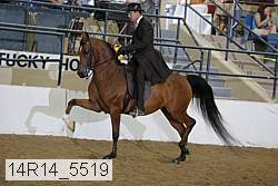 14r14_5519 proof