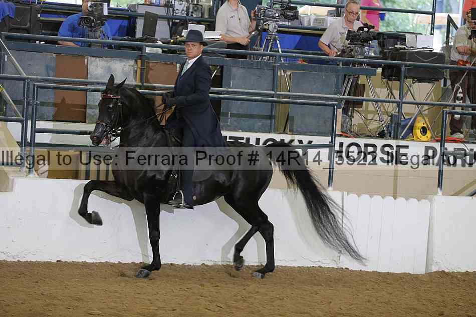 Proof 14r14_5522